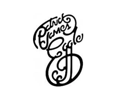Patrick James Eggle Guitars