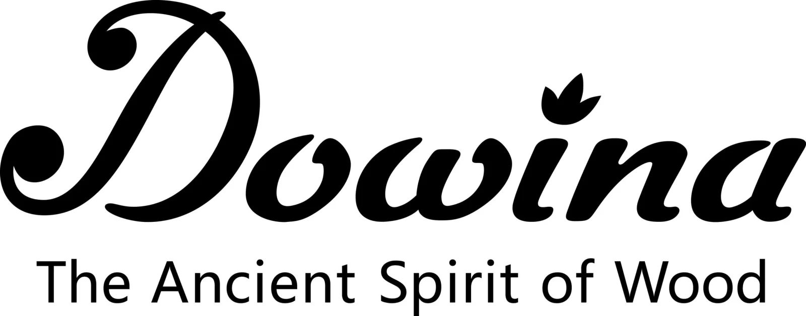 Dowina Guitars