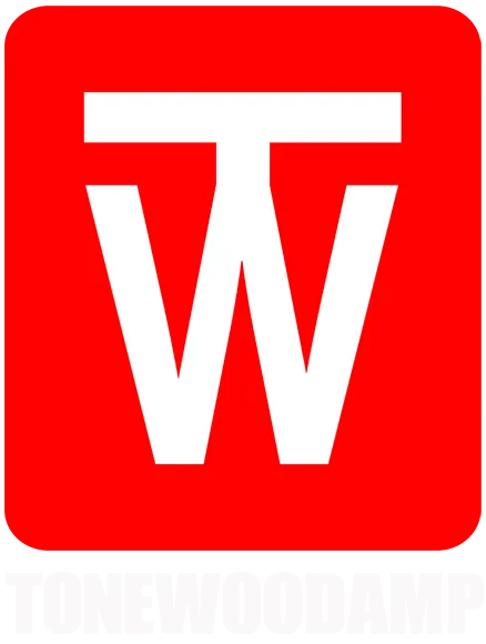 ToneWoodAmp